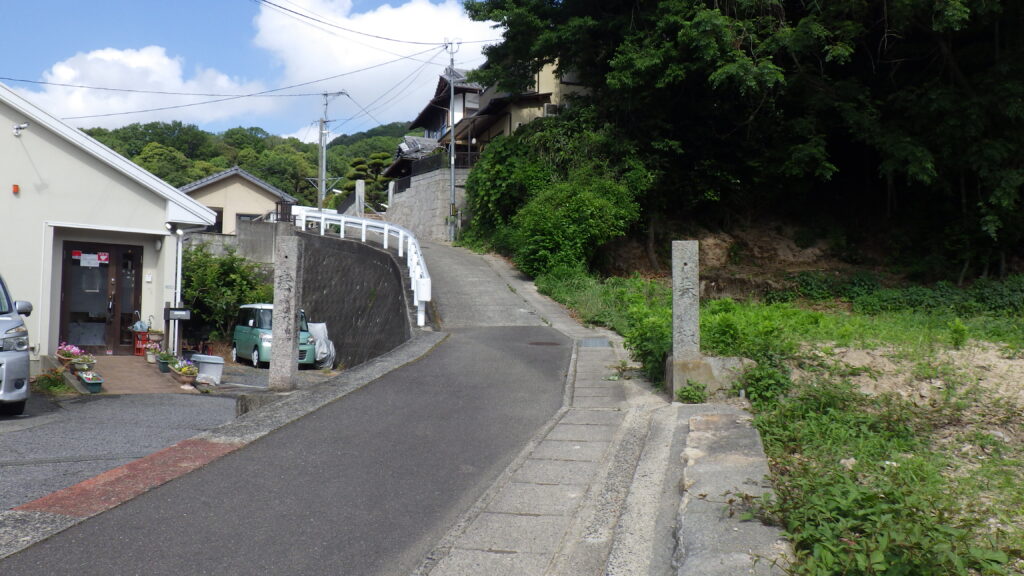 現在の画像に代替テキストがありません。ファイル名: IMGP0253-scaled.jpg