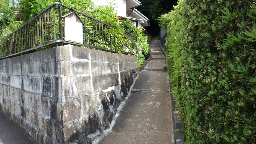 現在の画像に代替テキストがありません。ファイル名: IMGP0254-scaled.jpg