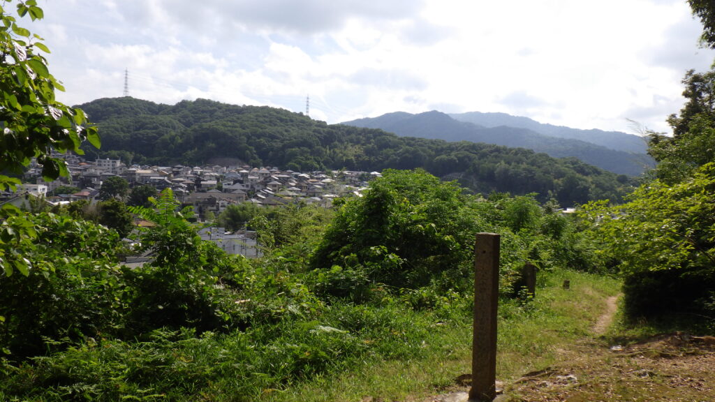 現在の画像に代替テキストがありません。ファイル名: IMGP0275-scaled.jpg